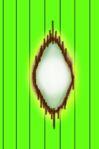 葉いもちのイラスト