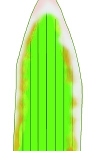 白葉枯病のイラスト