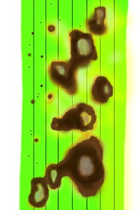 除草剤による薬害のイラスト
