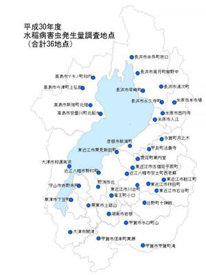平成30年度精密調査ほ場