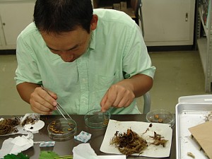 病害診断の画像
