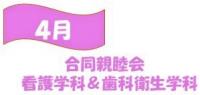 4月 合同親睦会