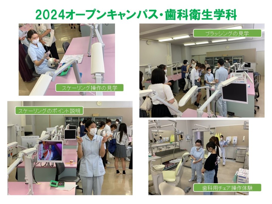 2024歯科1