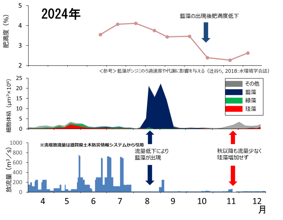 図6