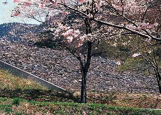 ロックフィルダムの堤体の写真です。