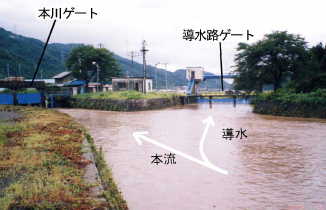 余呉川分流点を上流側からみた写真です。ここで余呉湖への導水路が分岐しています。