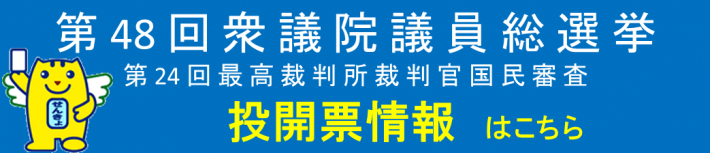 第48回衆議院議員総選挙第24回最高裁判所裁判官国民審査投開票情報リンク先