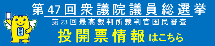 投開票情報リンク