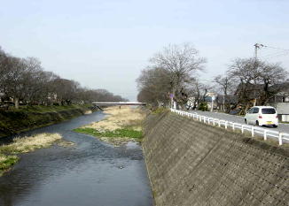 芹川下流の後三条橋付近です。手前の堤防には上部まで護岸ブロックがはられています。