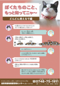 啓発チラシイメージ