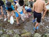 魚つかみの様子