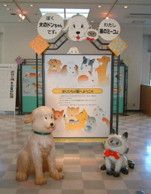 展示コーナーの写真2