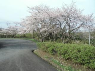H29日野川2-6