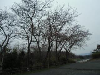 H29日野川4