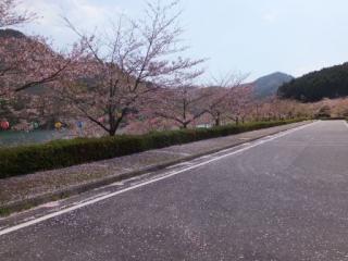 H29青土8-1