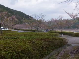 H29青土8-2