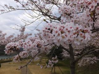 H29青土7-2