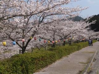 H29青土6-1