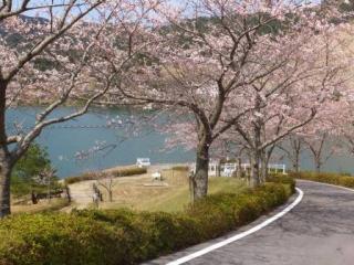 H29青土5-3