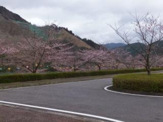 H29青土4-2