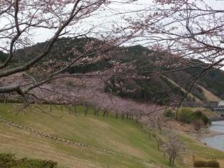 H29青土4-4