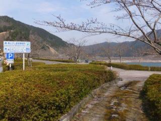 H29青土1