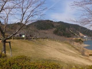 H29青土4