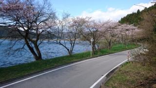 H29余呉湖2-3