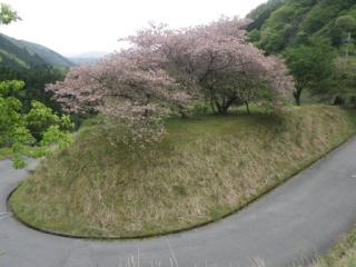 H29石田川10-2