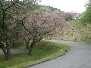 H29石田川10-5