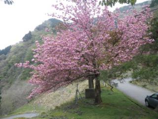 H29石田川9-4