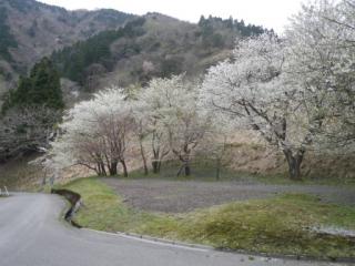 H29石田川6-1