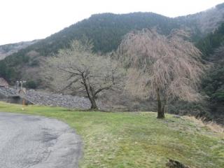 H29石田川3-3