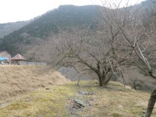 H29石田川6