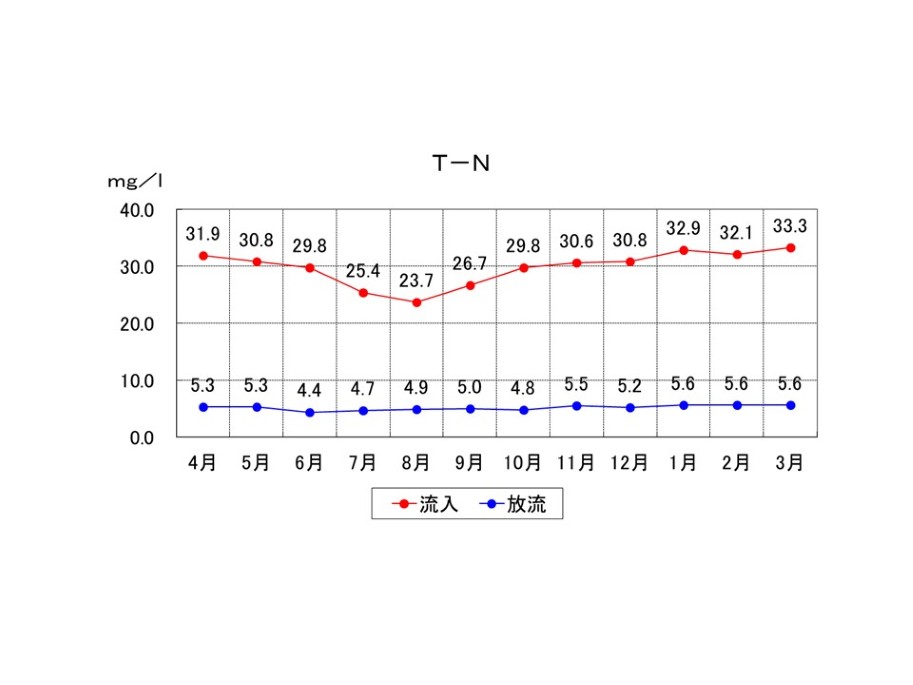 T-Nの推移