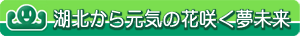 湖北まちづくり健康サポートネットワーク