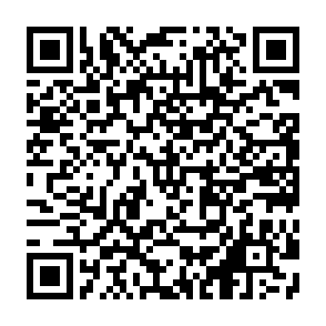 税と社会保障制度動画申し込み