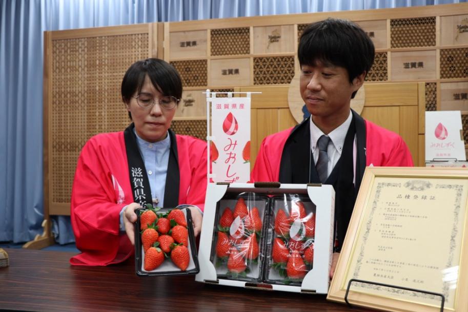 報道関係者向けの説明会