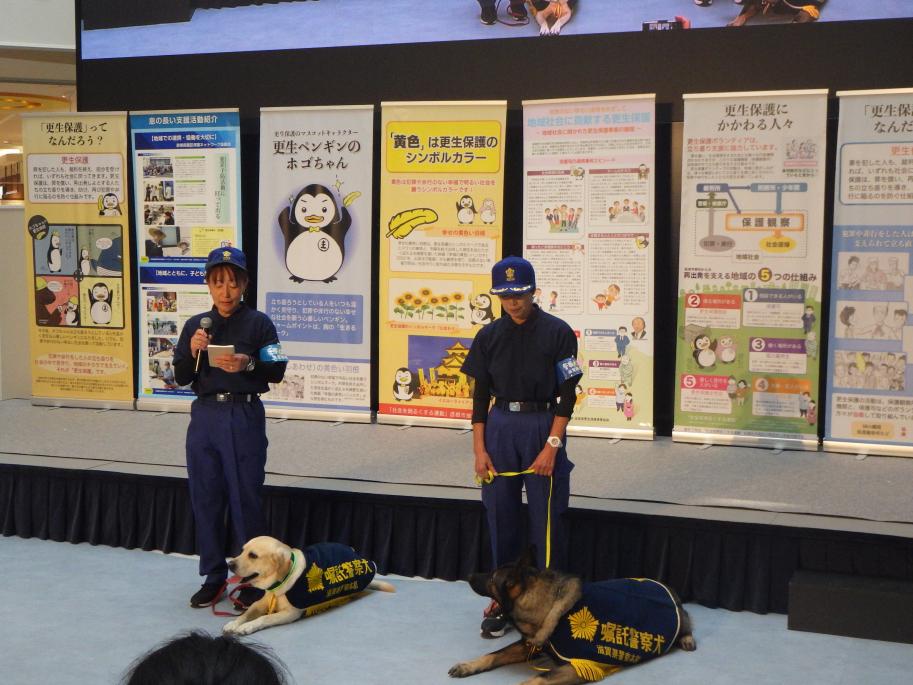 警察犬の展示