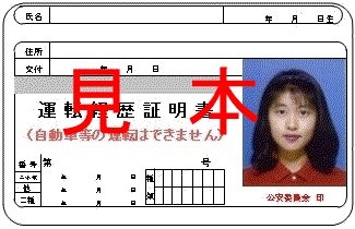 運転経歴証明書見本表