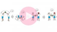 ストレッチボールわたし(湖っ子チャレンジランキング)-YouTube