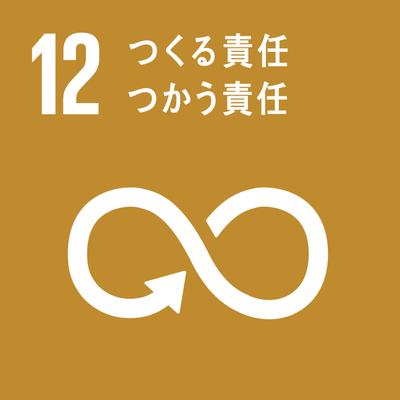 SDGsロゴ12