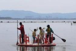 湖岸緑地大津地区SUP体験会の様子