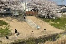 水辺の楽校