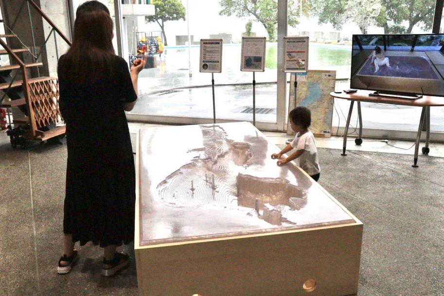 展示の様子