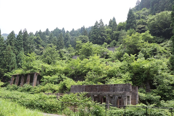 全景