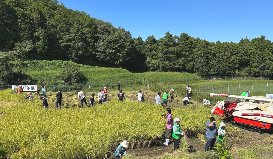 山口さん画像5