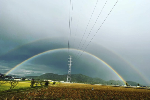 虹