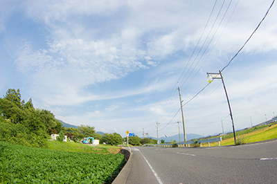 東近江市の道