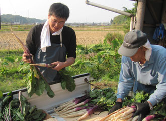 写真:日野菜と谷口さんと地域の人
